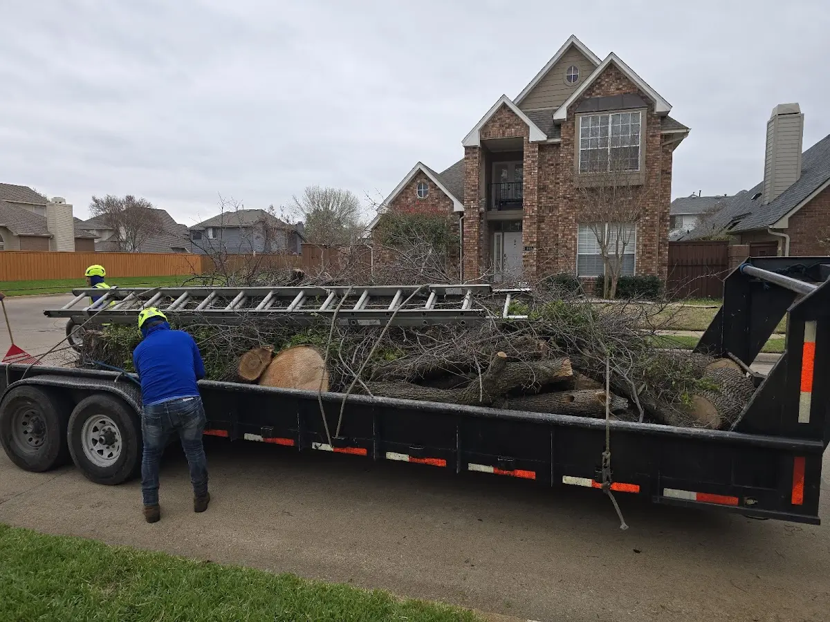 Expert Tree Pest Control with proper safety equipment in Osceola